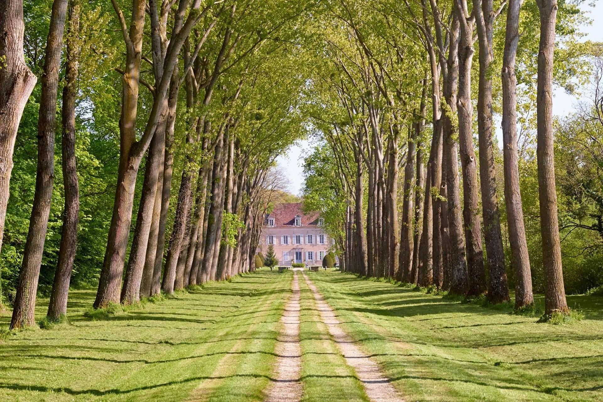 Chateau De Quincey Exterior photo
